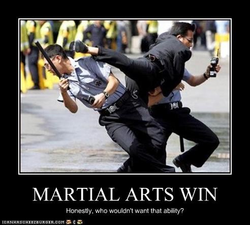 MARTIAL ARTS WIN