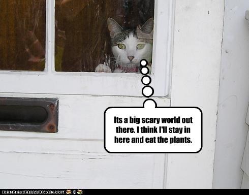 Its a big scary world out there. I think I'll stay in here and eat the plants.