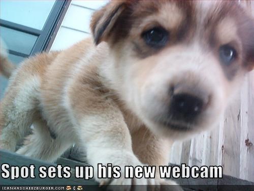 Spot sets up his new webcam