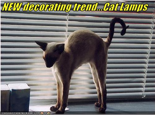 NEW decorating trend...Cat Lamps