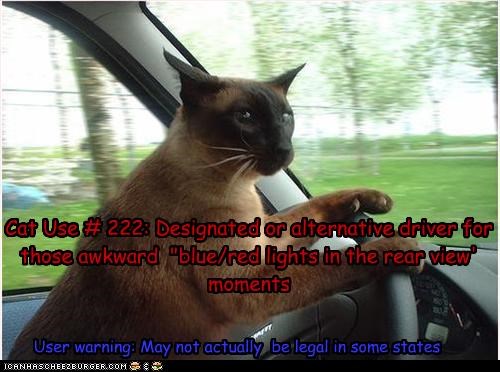 Cat Use # 222: Designated or alternative driver for those awkward  "blue/red lights in the rear view' moments