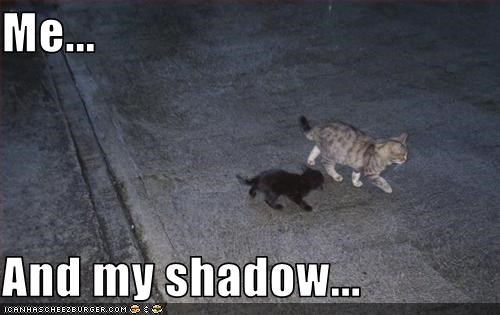 Me...  And my shadow...