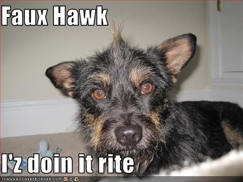Faux Hawk  I'z doin it rite