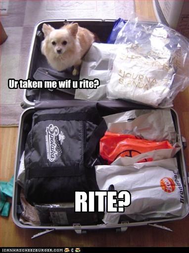 Ur taken me wif u rite?