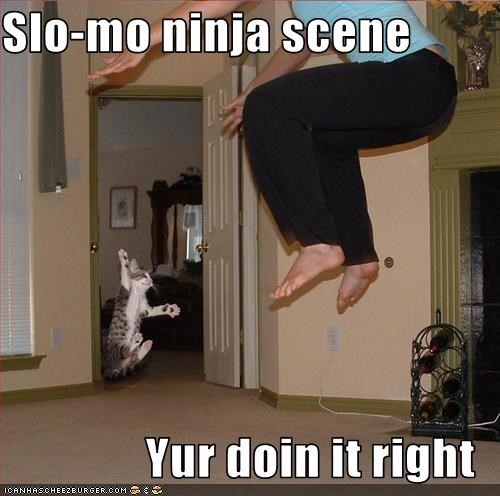 Slo-mo ninja scene  Yur doin it right