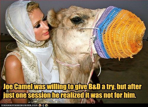 Joe Camel was willing to give B&D a try, but after just one session he realized it was not for him.