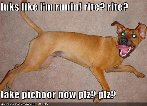 luks like i'm runin! rite? rite?  take pichoor now plz? plz?