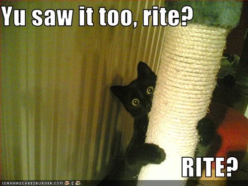 Yu saw it too, rite?  RITE?
