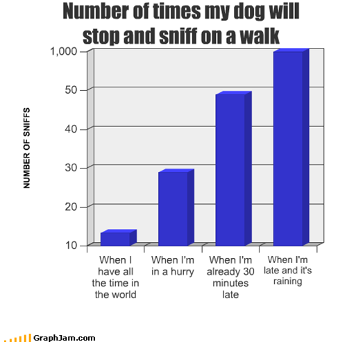 Number of times my dog will  stop and sniff on a walk