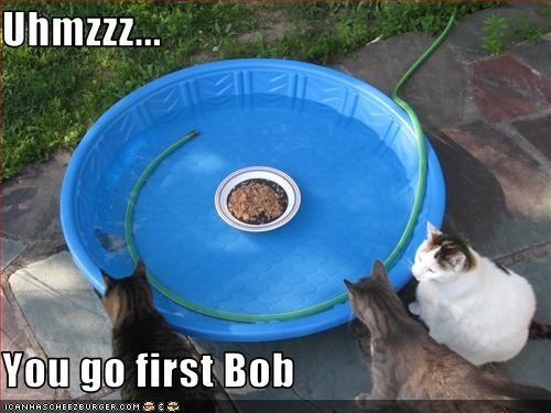 Uhmzzz...  You go first Bob