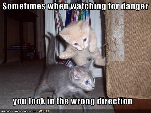 Sometimes when watching for danger  you look in the wrong direction