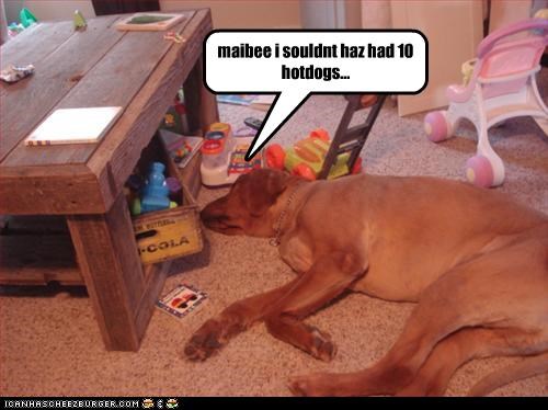maibee i souldnt haz had 10 hotdogs...