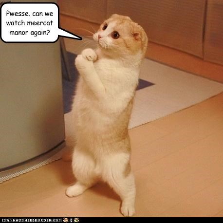 Pwesse. can we watch meercat manor again?