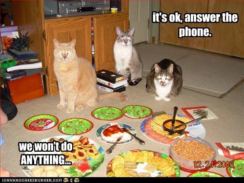it's ok, answer the phone.