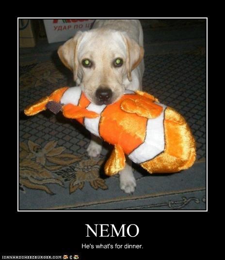 NEMO