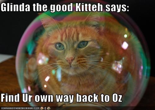 Glinda the good Kitteh says:  Find Ur own way back to Oz