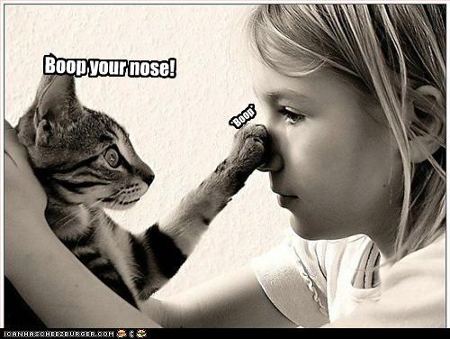 Boop your nose!