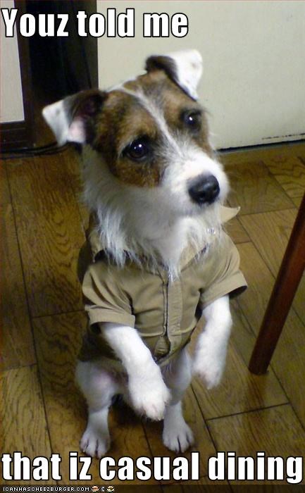 Youz told me  that iz casual dining
