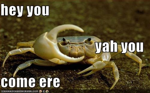 hey you yah you come ere