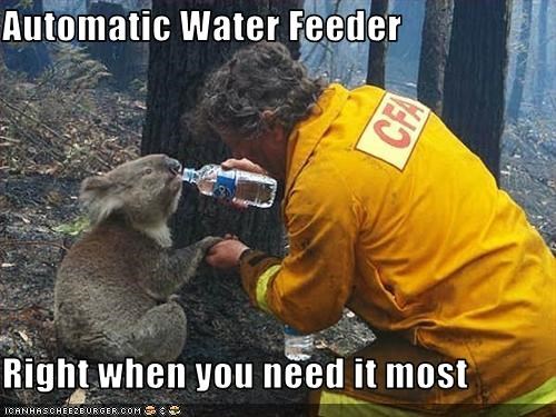 Automatic Water Feeder  Right when you need it most