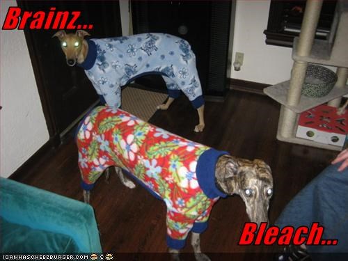 Brainz...  Bleach...