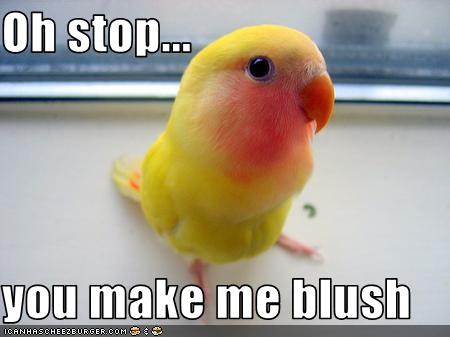 Oh stop...  you make me blush