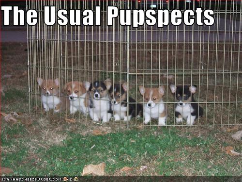 The Usual Pupspects
