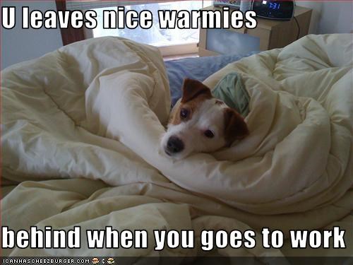 U leaves nice warmies  behind when you goes to work