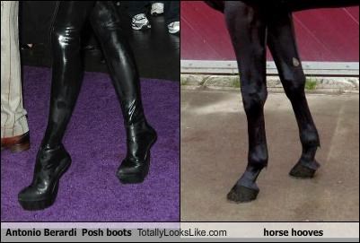 Antonio Berardi  Posh boots Totally Looks Like horse hooves