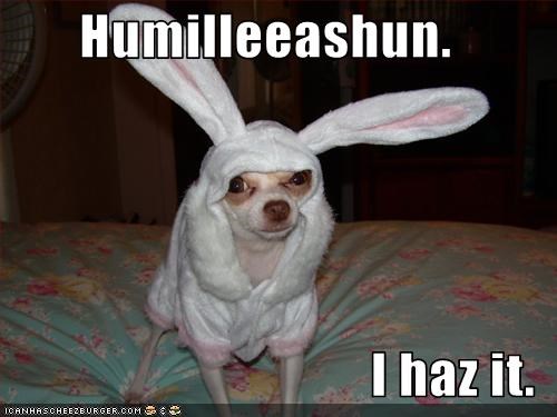Humilleeashun.  I haz it.
