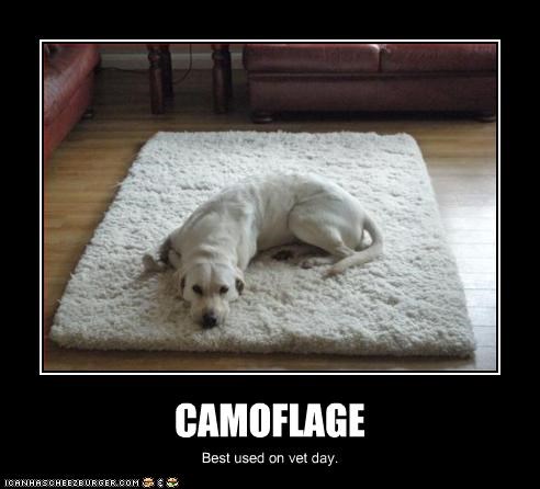 CAMOFLAGE