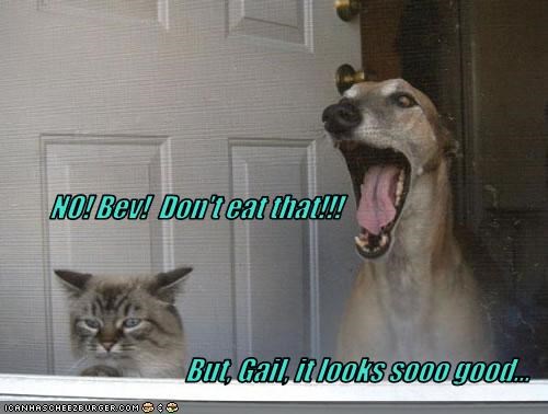 NO! Bev!  Don't eat that!!!                                    But, Gail, it looks sooo good...