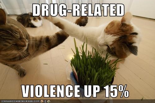 DRUG-RELATED   VIOLENCE UP 15%