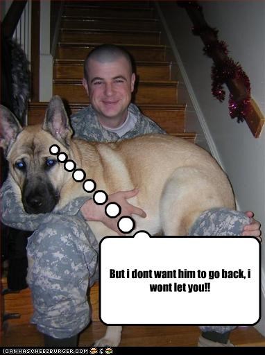 But i dont want him to go back, i wont let you!!