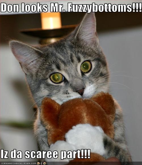 Don looks Mr. Fuzzybottoms!!!  Iz da scaree part!!!