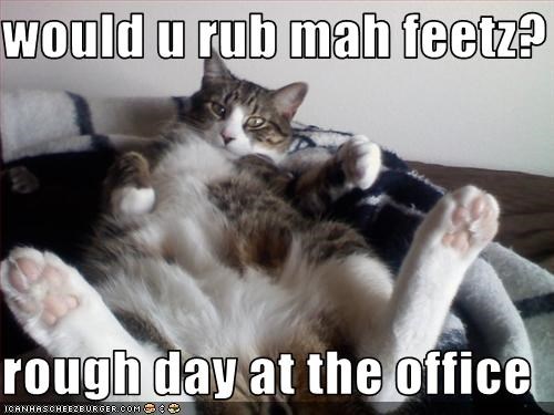 would u rub mah feetz?  rough day at the office