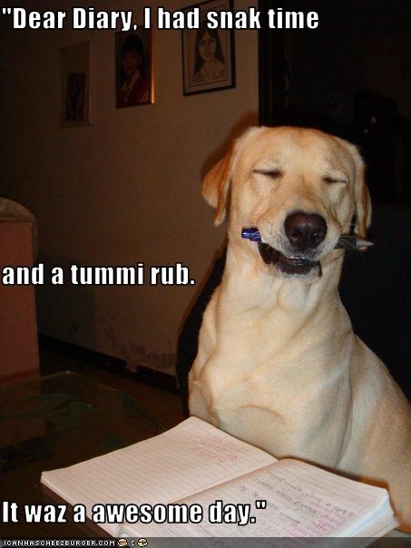 "Dear Diary, I had snak time and a tummi rub. It waz a awesome day."