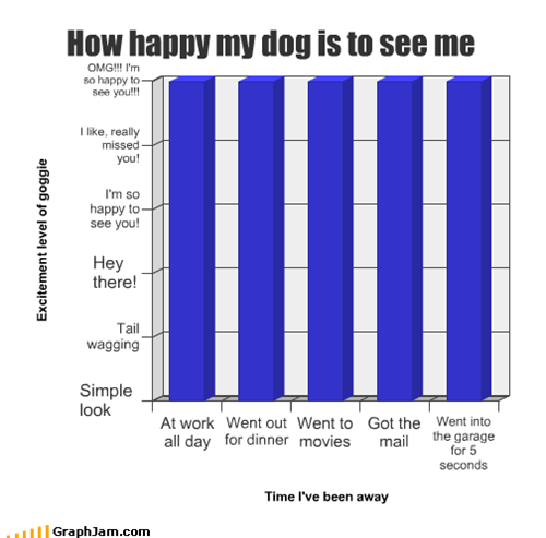 How happy my dog is to see me
