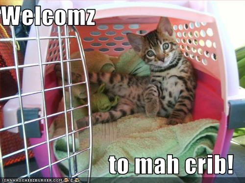 Welcomz  to mah crib!