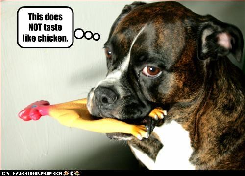 This does NOT taste like chicken.
