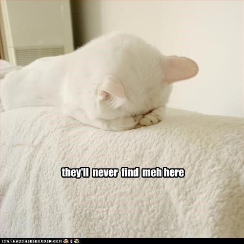 they'll  never  find  meh here