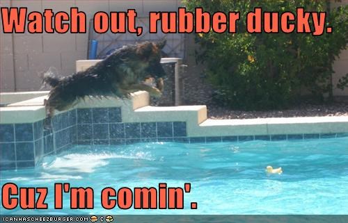 Watch out, rubber ducky.  Cuz I'm comin'.