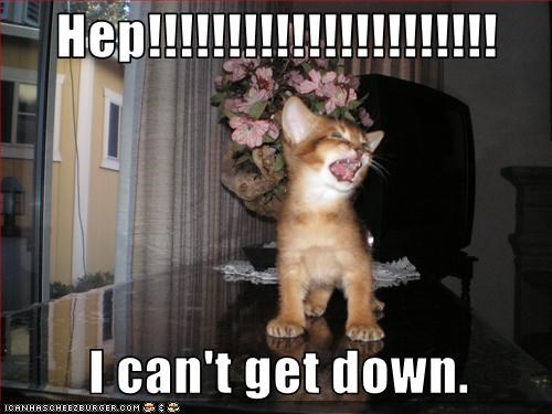 Hep!!!!!!!!!!!!!!!!!!!!!!          I can't get down.