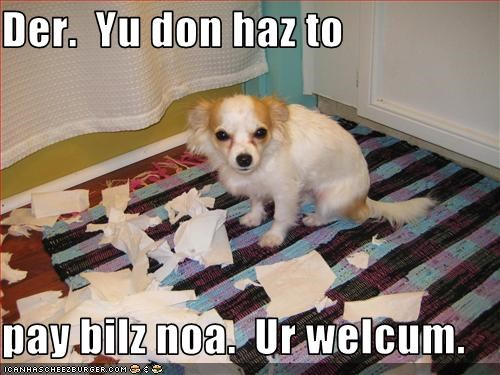 Der.  Yu don haz to  pay bilz noa.  Ur welcum.