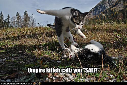 Umpire kitteh callz you "SAEF!"