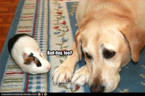 Bad day, too?