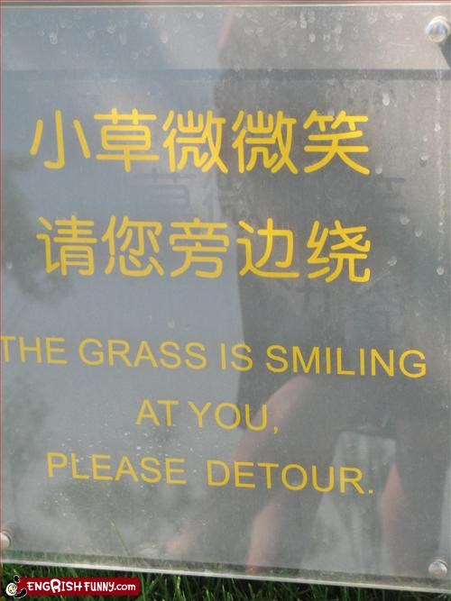 DETOUR, I SAID!