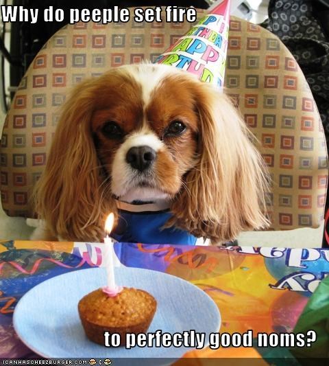 Why do peeple set fire   to perfectly good noms?
