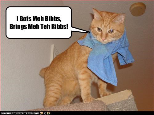I Gots Meh Bibbs,  Brings Meh Teh Ribbs!