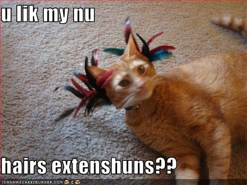u lik my nu  hairs extenshuns??